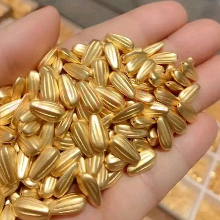 招财黄金瓜子