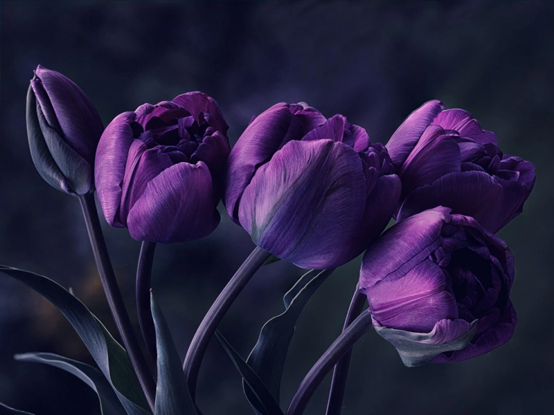 在乎 + 牽掛 = 愛