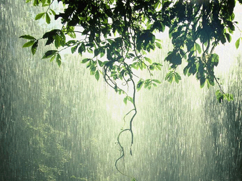 緣靠天安排,情靠人善待,心靠心交換 緣靠天安排,情靠人善待,心靠心交換