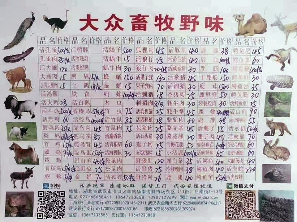 新型冠狀病毒源發地：武漢華南海鮮市場