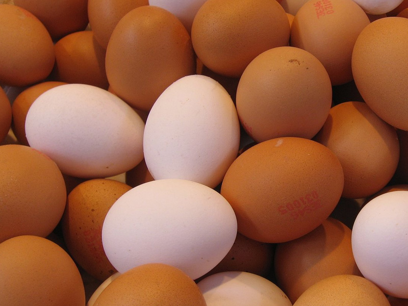 蛋殼顏色越深越有營養？蛋殼的白霜是什麼？