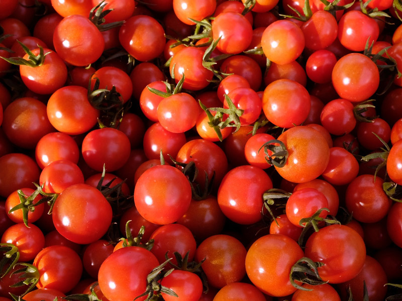 番茄減肥法？為什麼番茄能減肥？