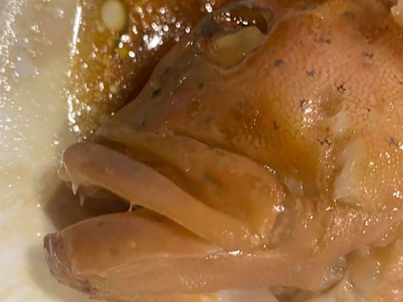 一條中伏東星班 PO 引爆的海鮮知識交流大會 一條中伏東星班 PO 引爆的海鮮知識交流大會