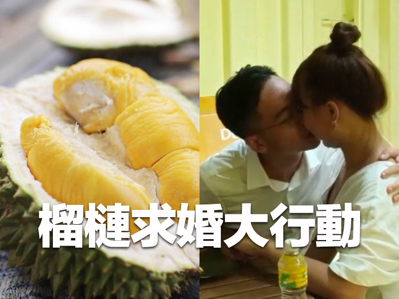 榴槤求婚大行動 榴槤求婚大行動