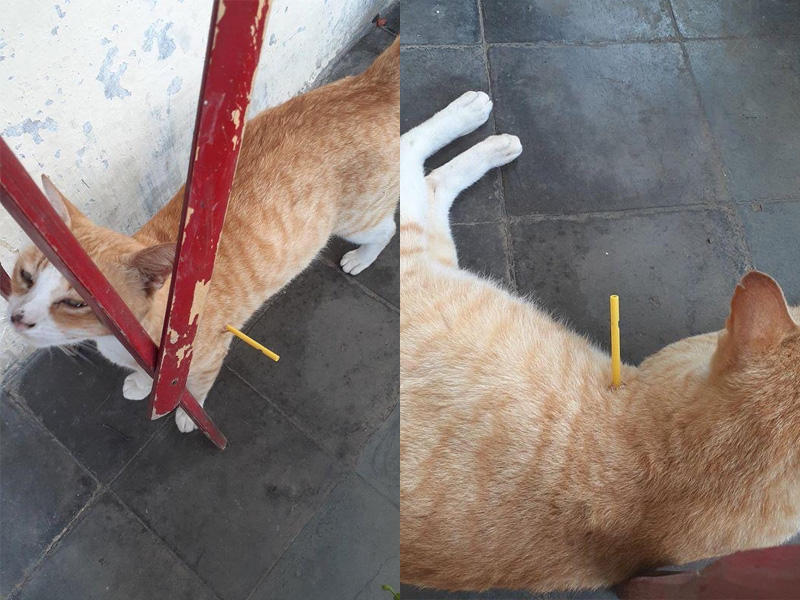 太過份了 ... 太過份了 ...