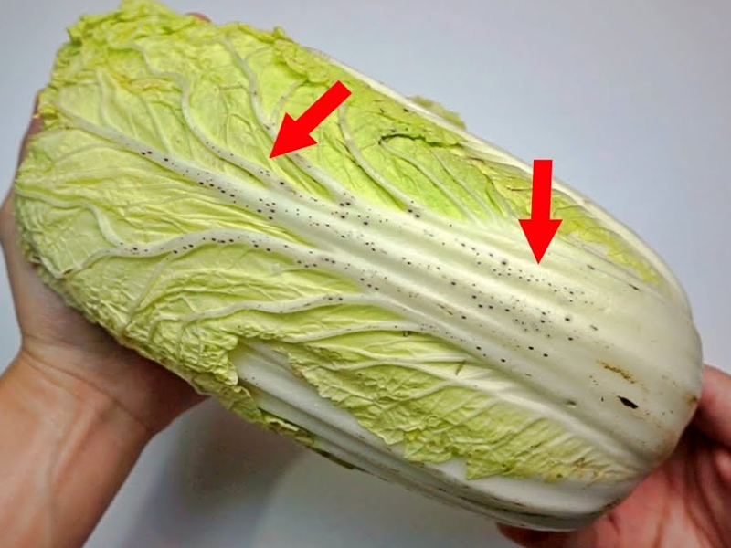大白菜上的小黑點能不能吃?對身體有害嗎? 大白菜上的小黑點能不能吃?對身體有害嗎?
