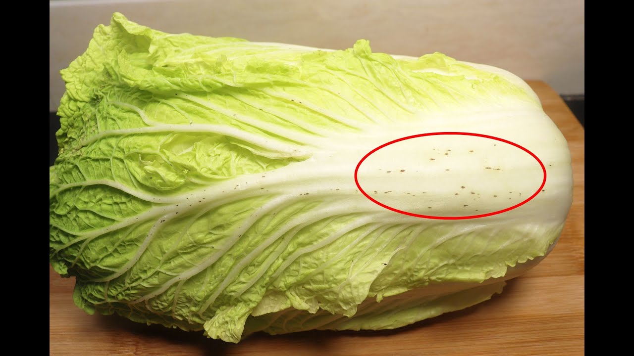 大白菜上的小黑點能不能吃？對身體有害嗎？