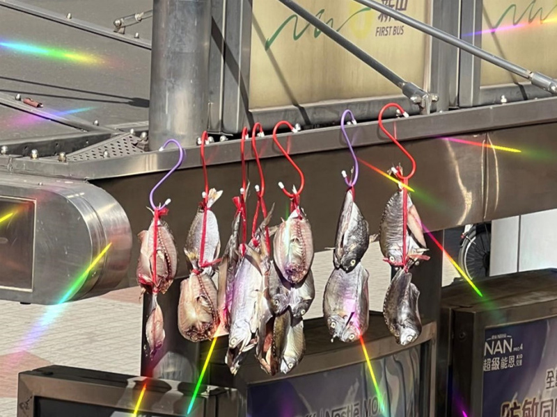 巴士站上蓋曬鹹魚 巴士站上蓋曬鹹魚