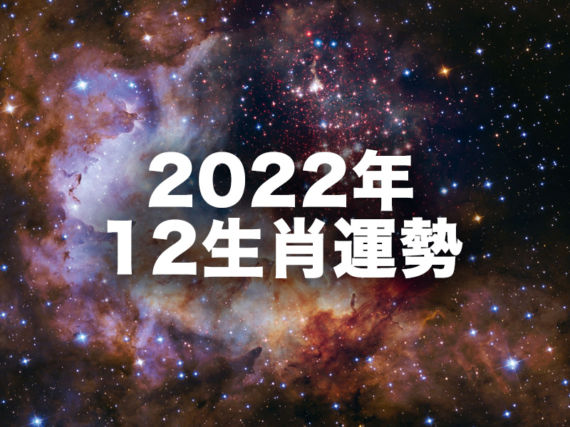 2022年12生肖運勢排行 第1名是 ...