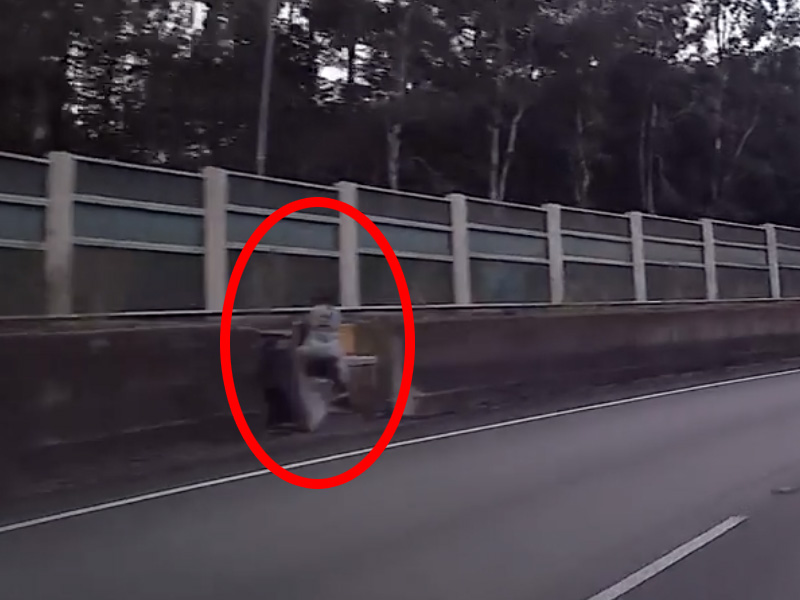 高速公路靈異事件？野外露出？