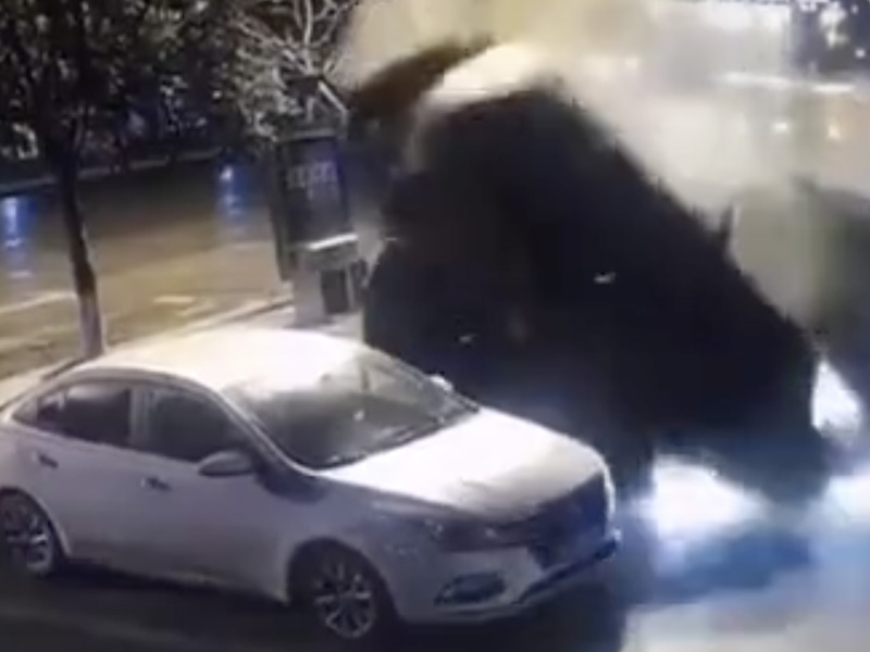 這個停車技術怎麼樣？