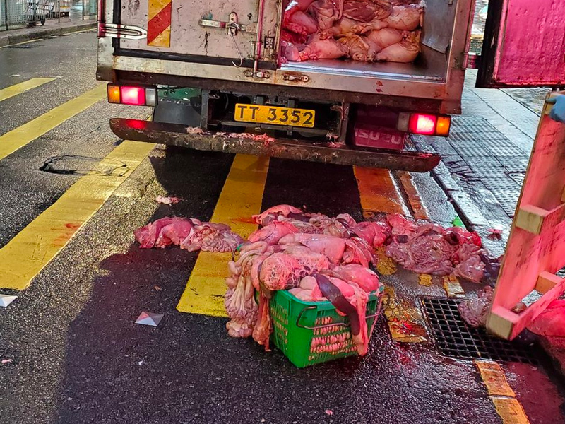 豬肉係咁樣送貨? 豬肉係咁樣送貨?