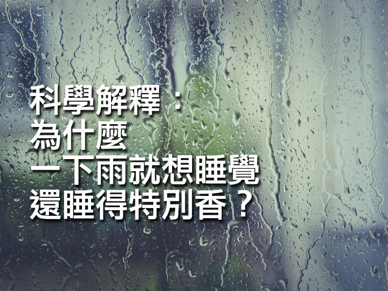 科學解釋：為什麼一下雨就想睡覺，還睡得特別香？