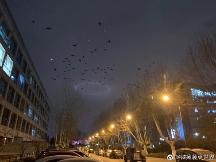 北京夜空出現 巨型神秘光圈