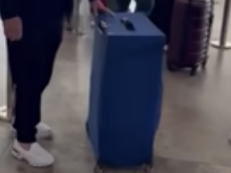 行李箱忽然發出陣陣叫床聲 ...