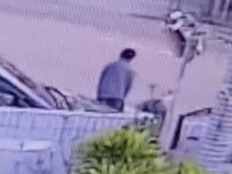 洪水橋25歲男子運屍片段曝光 洪水橋25歲男子運屍片段曝光