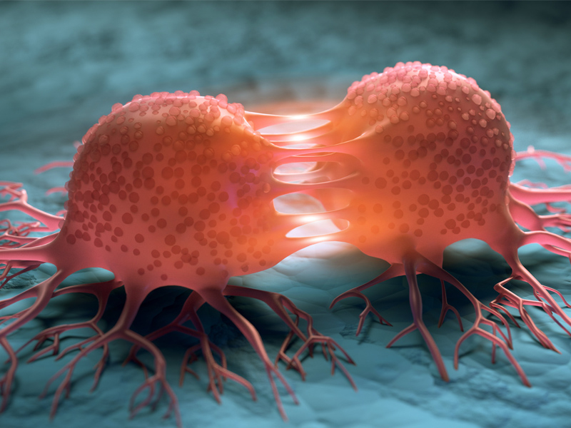 研究證實 它會加速癌細胞轉移 研究證實 它會加速癌細胞轉移