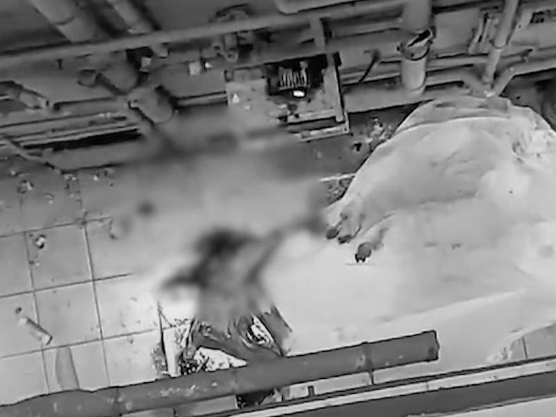 中五生天台玩極限運動「飛躍道」意外墮樓亡 中五生天台玩極限運動「飛躍道」意外墮樓亡