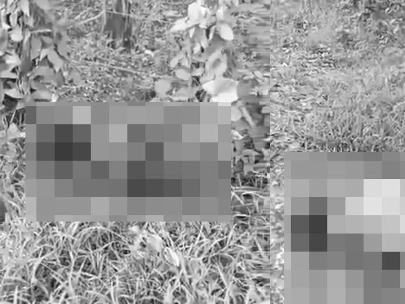 最少5港人墮騙局 「賣豬仔」泰緬失聯 最少5港人墮騙局 「賣豬仔」泰緬失聯