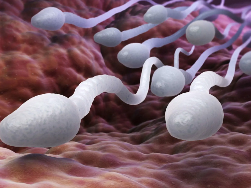 研究證實:Wi-Fi 會殺精 研究證實:Wi-Fi 會殺精