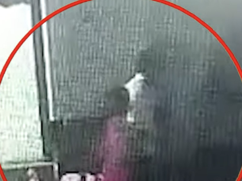 男子推妻子落月台 恐怖影片曝光 男子推妻子落月台 恐怖影片曝光