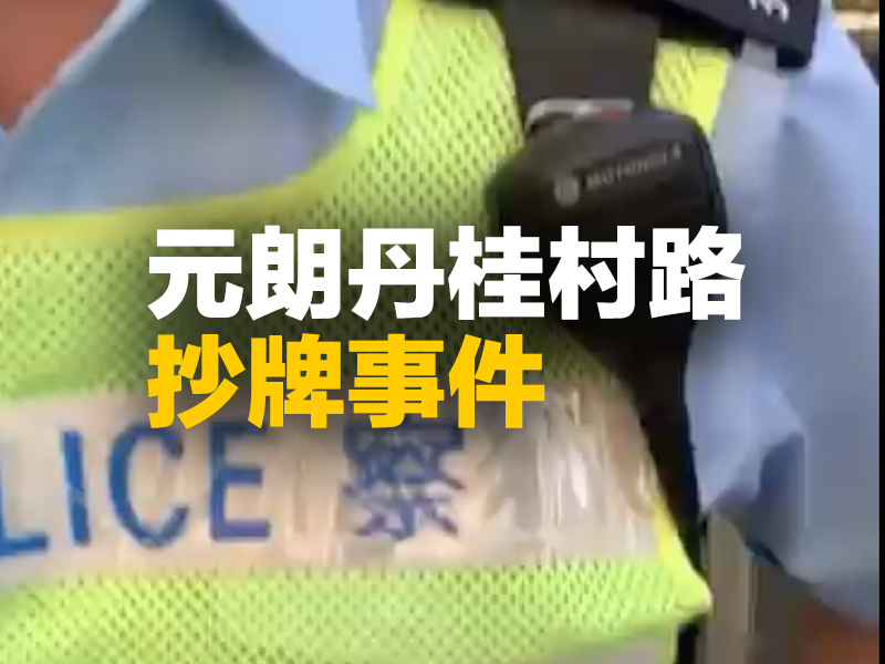 元朗丹桂村路抄牌事件