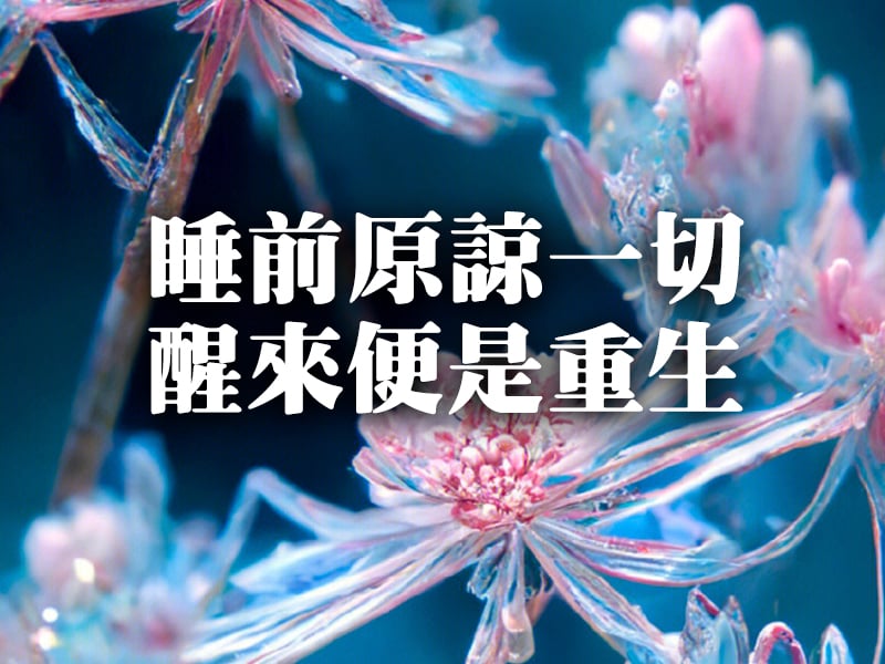 睡前原諒一切，醒來便是重生