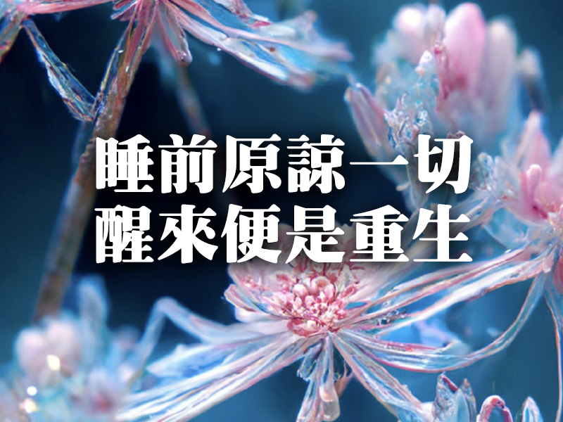 睡前原諒一切，醒來便是重生