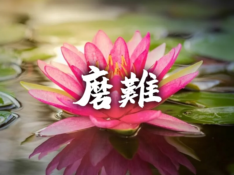 為什麼善良的人 會經受更大的磨難 為什麼善良的人 會經受更大的磨難