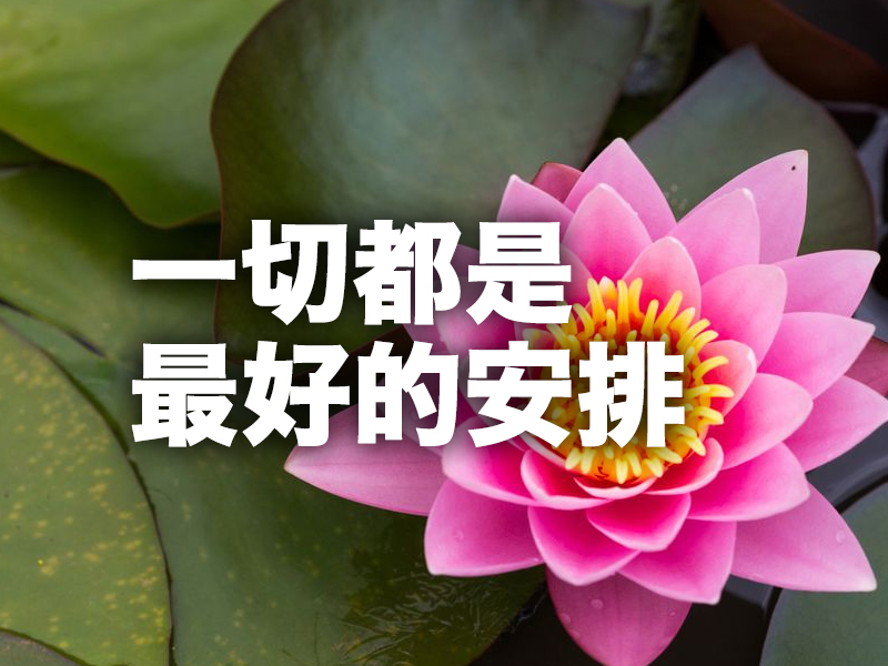 一切都是最好的安排