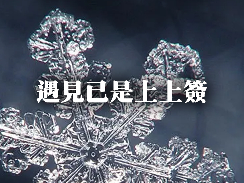 縱然結局不如意,遇見便是上上簽 縱然結局不如意,遇見便是上上簽