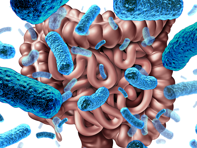 5 種維護腸道健康食物