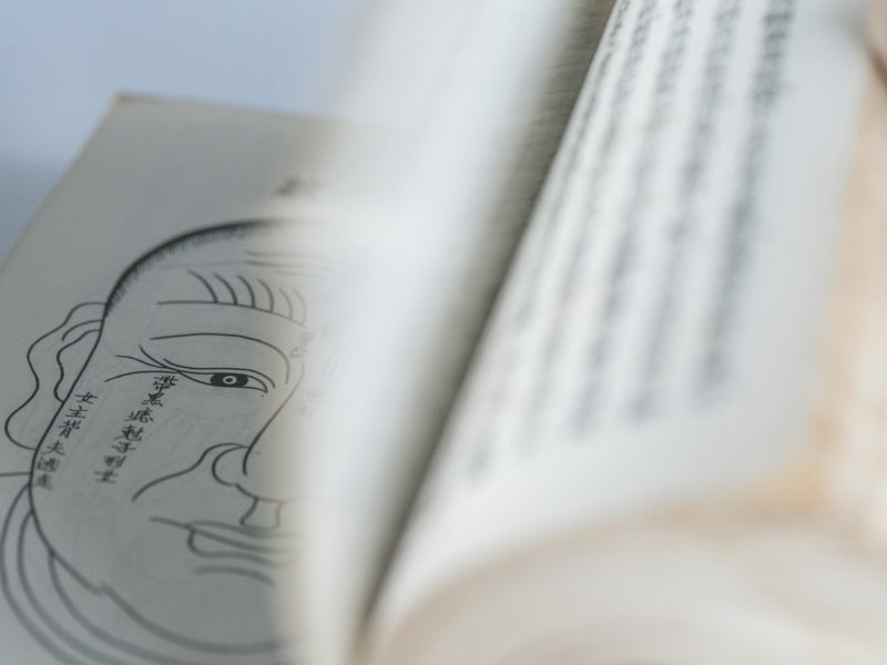 命運是否天注定 命運是否天注定