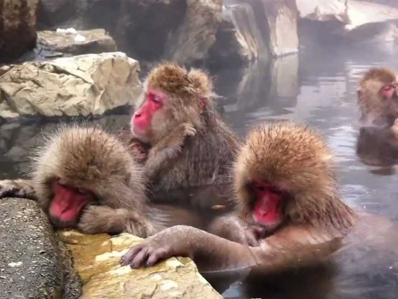 抱怨世界，不如開始改變 ...