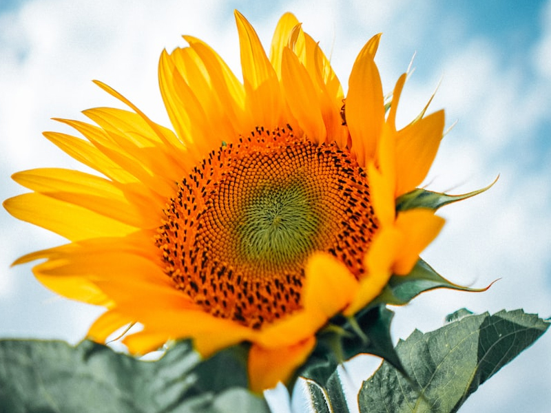 五個讓你更幸福的簡單習慣