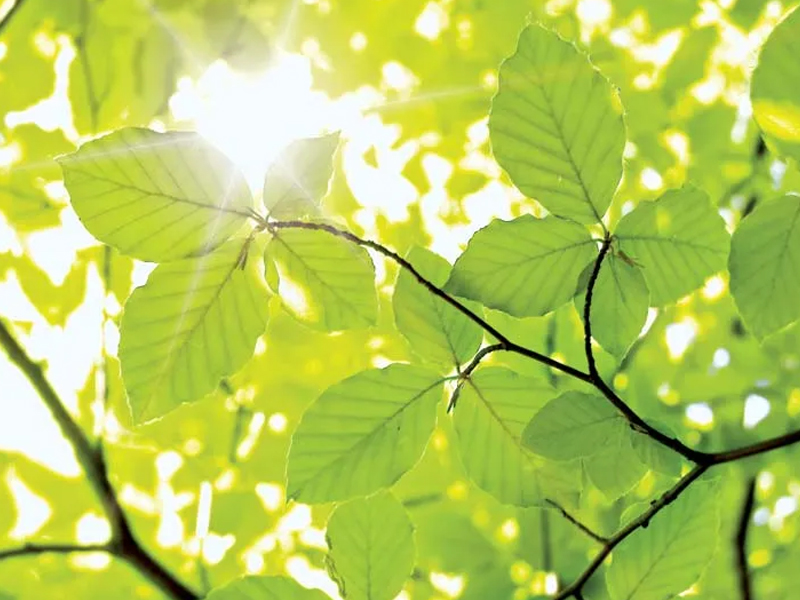 你為什麼總是不開心