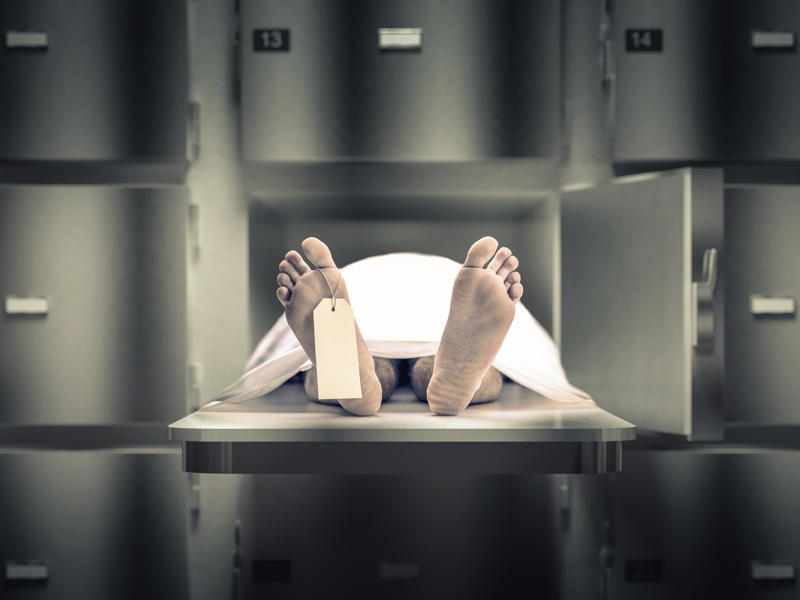 車禍死亡 11年後離奇重現人間