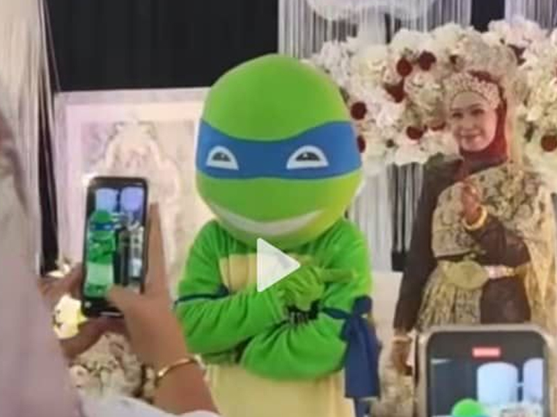 相戀8年女友嫁他人 扮忍者龜出席婚禮