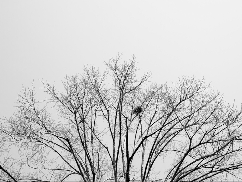 男人思念一個人和女人思念一個人的區別