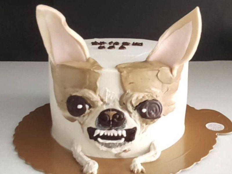 狗狗生日蛋糕