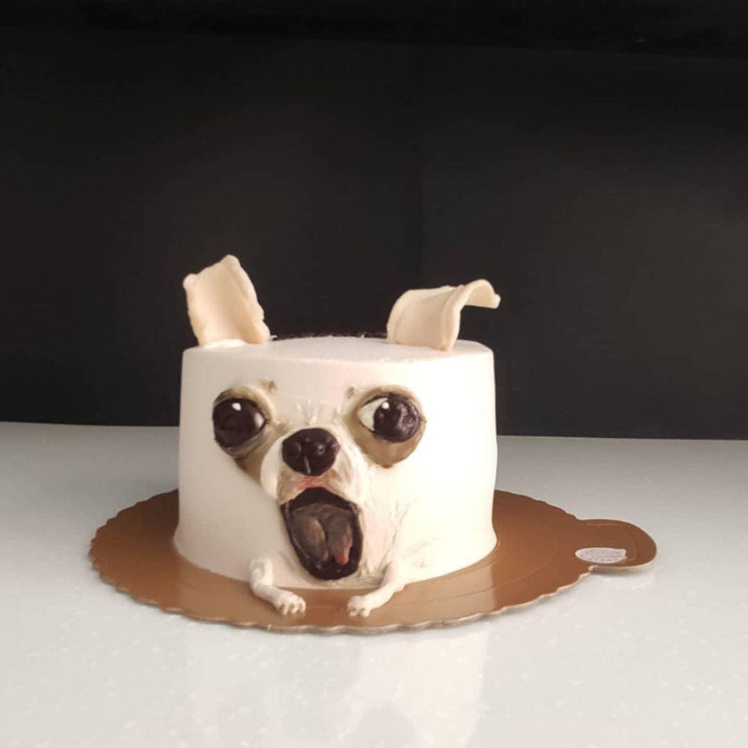 海盗狗 手工自制 6寸 狗狗生日蛋糕 宠物蛋糕 - 宝贝它