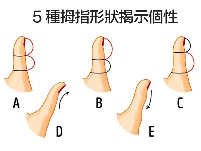 5 種拇指形狀揭示個性