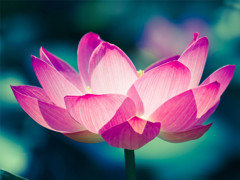 你越覺得你好運，你就越容易吸引到對的人