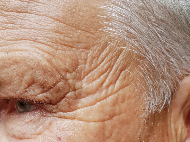 人體各個器官老化時間表，它 20 歲就開始退化！