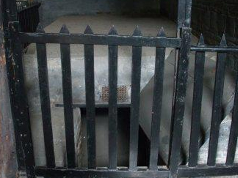 9 個孩子被騙緬甸，被關水牢遭電擊