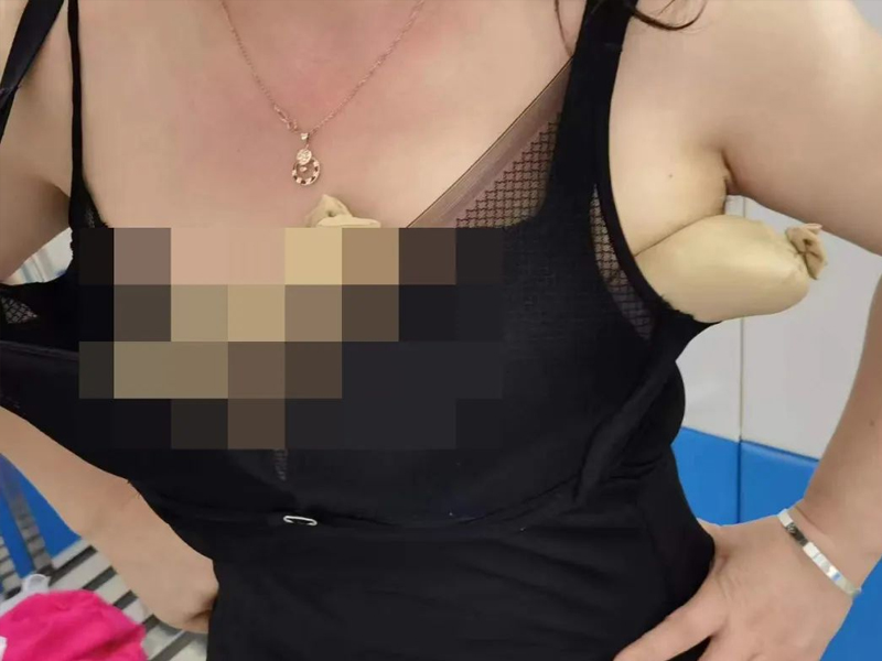 女子為走私5活蛇 竟全塞進自己胸部 (影片曝光)