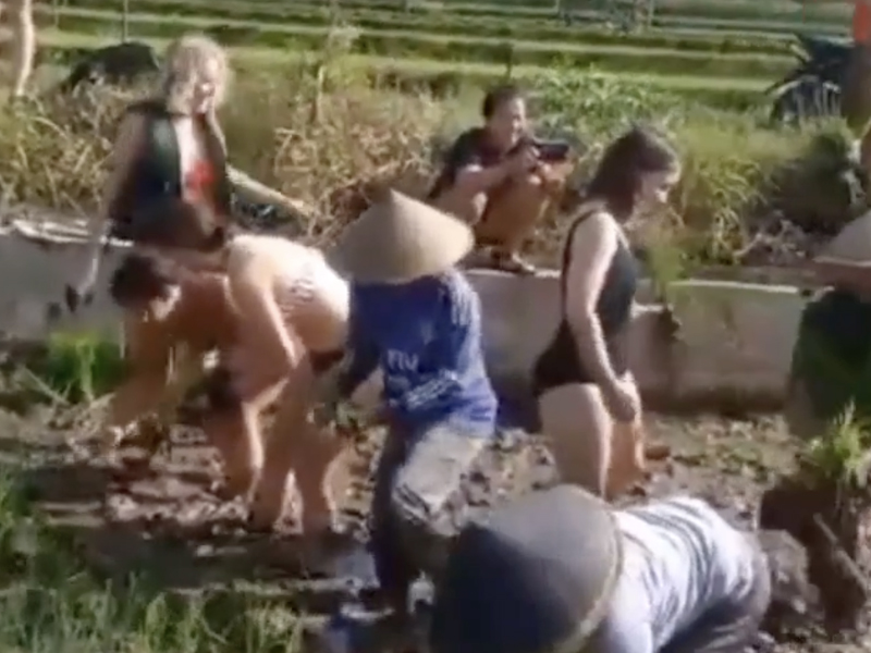 比基尼辣妹下田插秧 (有片)