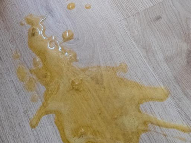 女子家中踩狗尿 頭撞地當場斃命