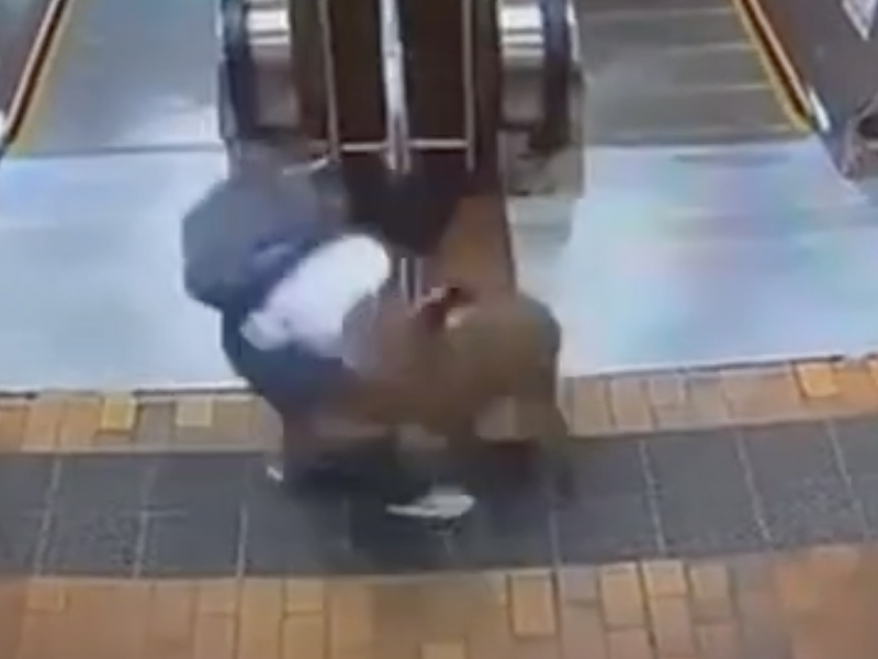 野豬闖火炭站 2 人被襲受傷