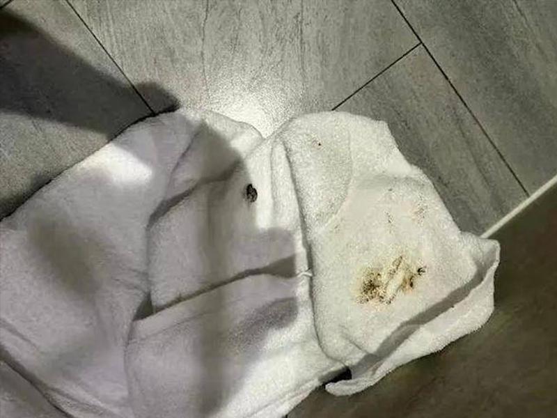 【有片】住酒店驚見浴巾沾屎、水壺有內褲
